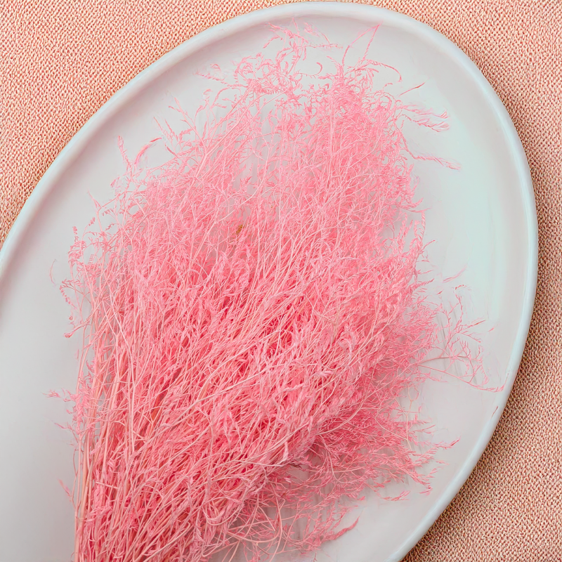 Statice Marine Lt Pink IT 3.png