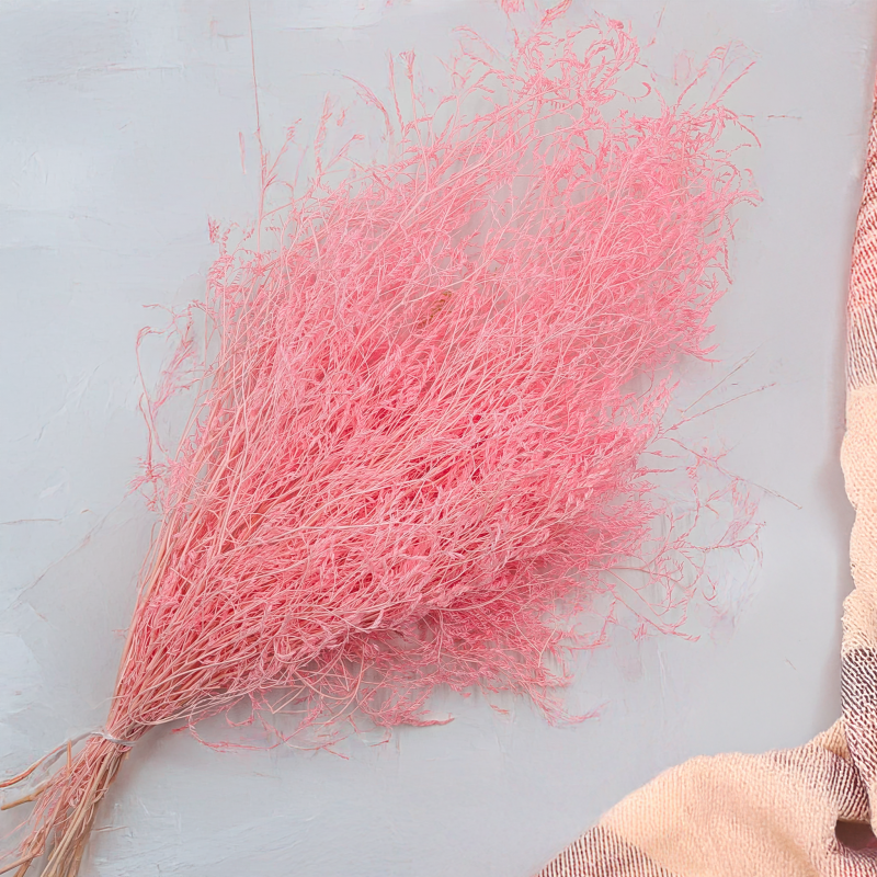 Statice Marine Lt Pink IT 4.png