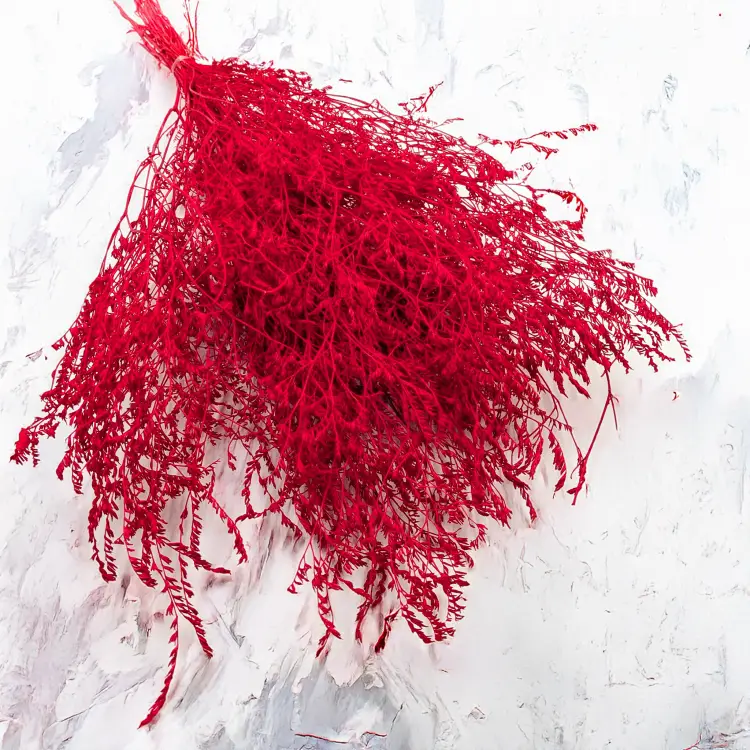 Statice Marine Red IT 1.png