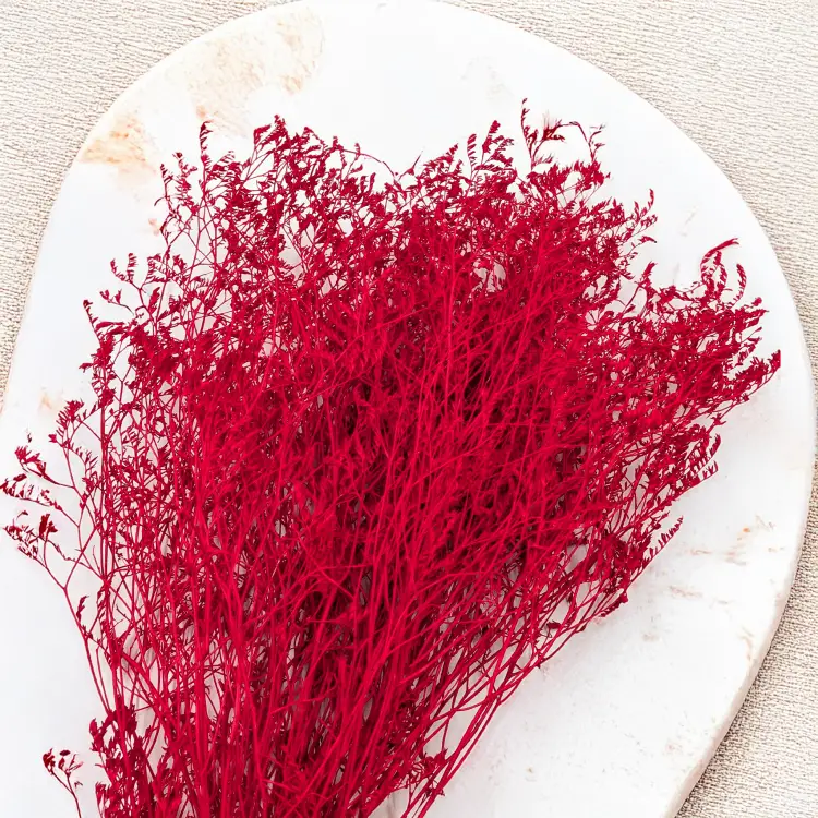 Statice Marine Red IT 2.png