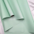 085 Pastel green 3.png