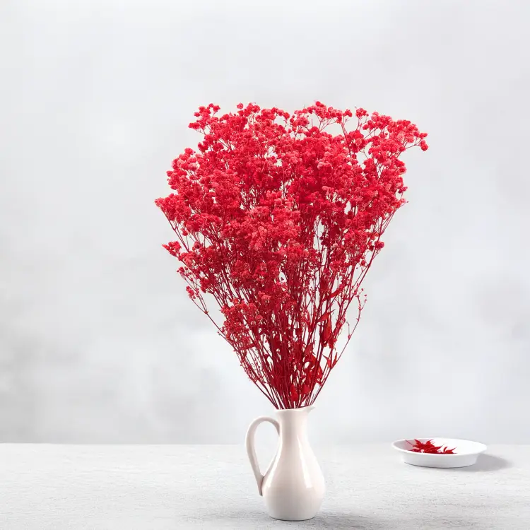 Gips Red Royal 14 5.png