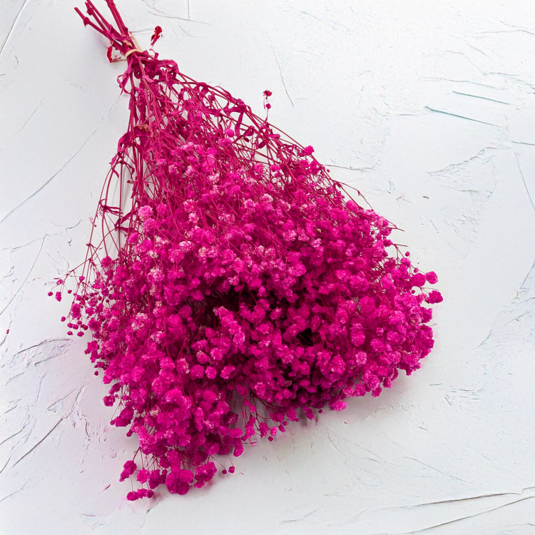 Gips Fuchsia Royal 06 1.png