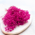 Gips Fuchsia Royal 06 2.png