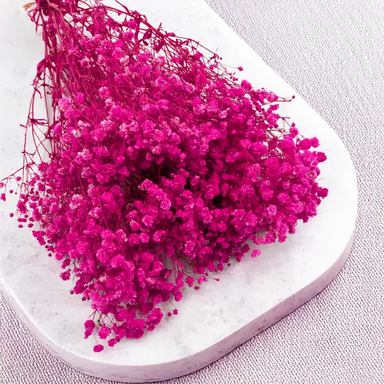 Gips Fuchsia Royal 06 3.png