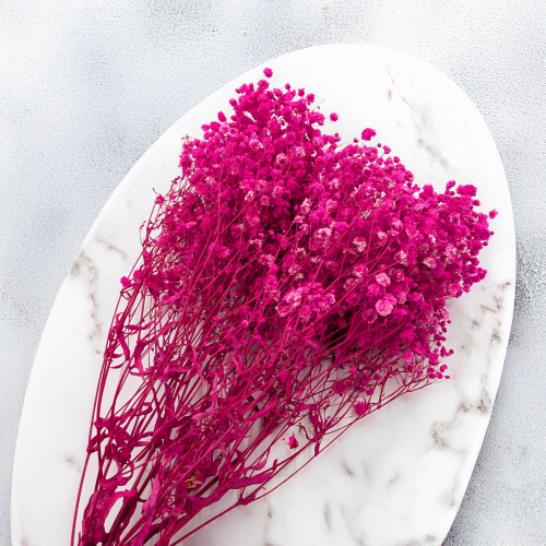 Gips Fuchsia Royal 06 4.png