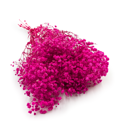 Gips Fuchsia Royal 06.png