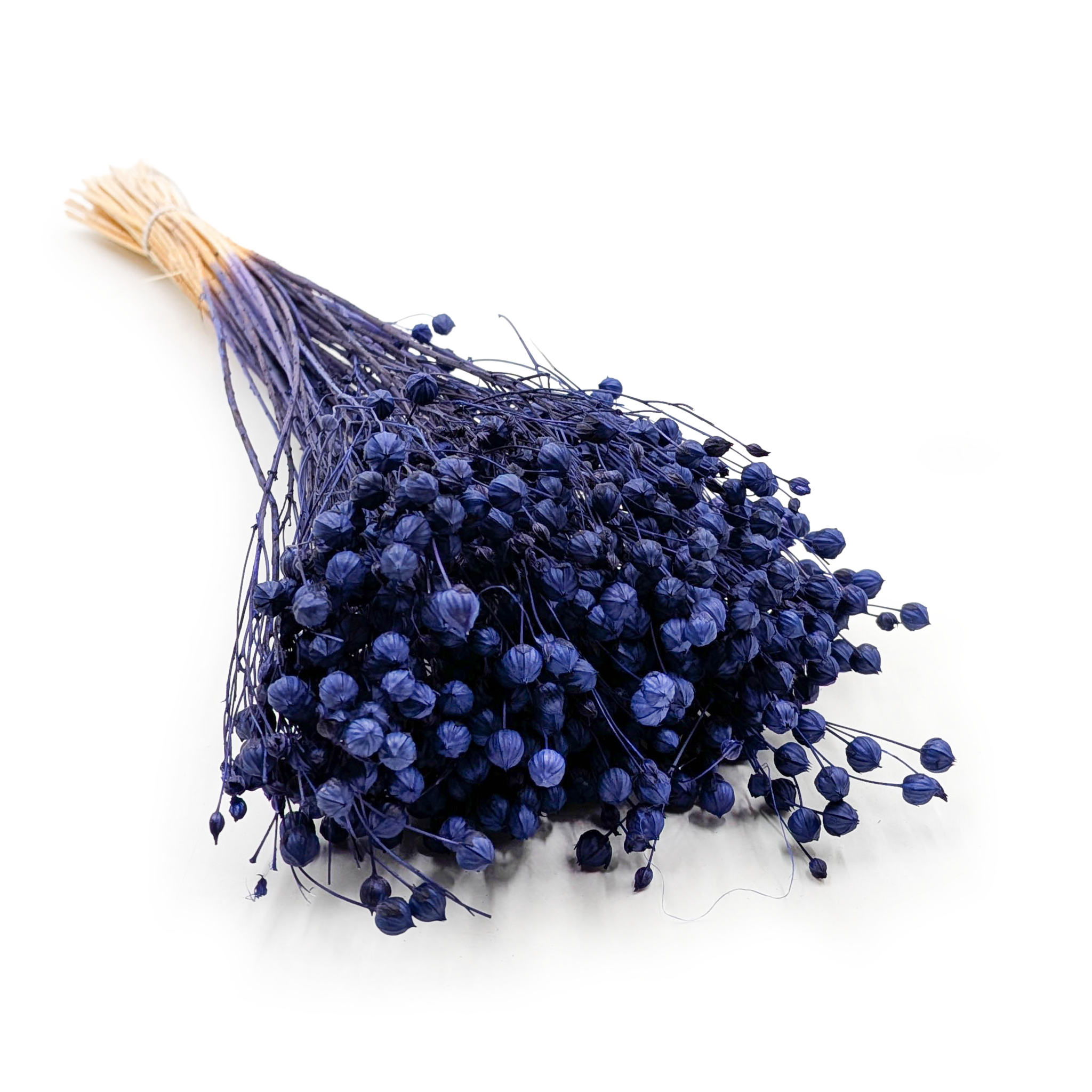 Dried Flax - Navy Blue