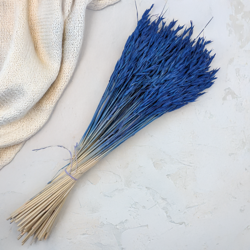 Owies granatowy 6.png