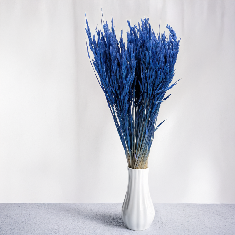 Owies granatowy 7.png