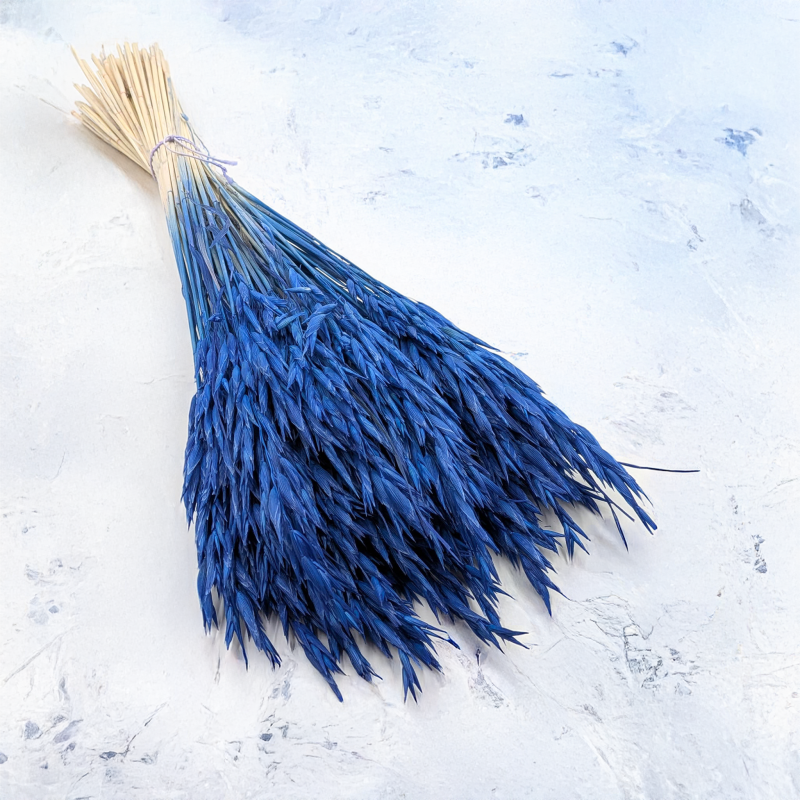 Owies granatowy 1.png