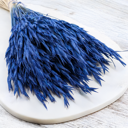 Owies granatowy 3.png