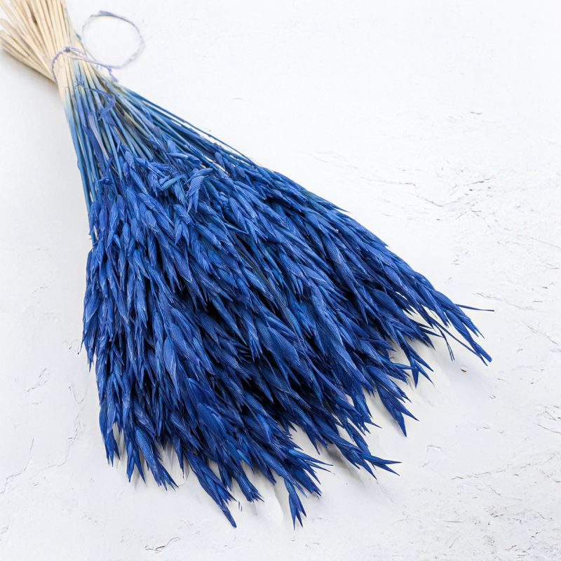 Owies granatowy 4.png