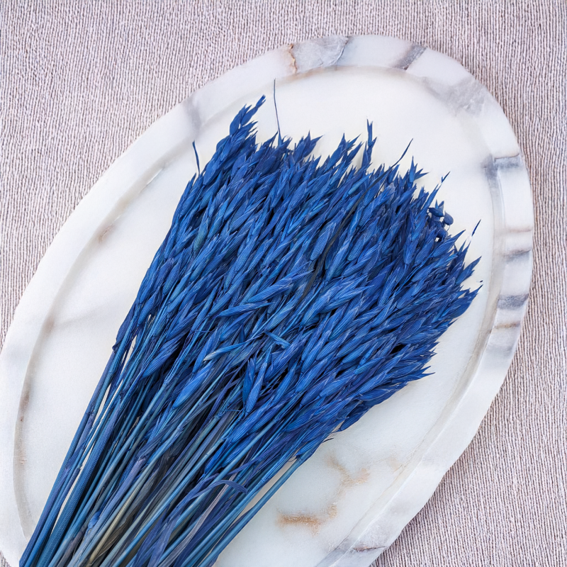 Owies granatowy 5.png