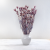 Nigella orient Lavender 6.png