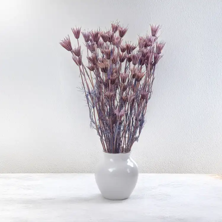 Nigella orient Lavender 6.png