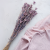 Nigella orient Lavender 3.png