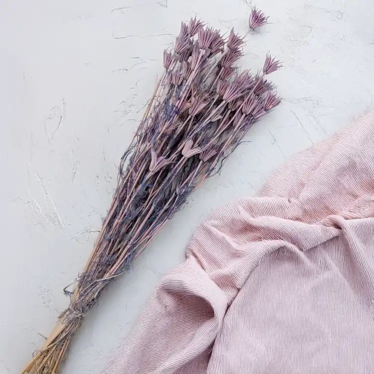 Nigella orient Lavender 3.png
