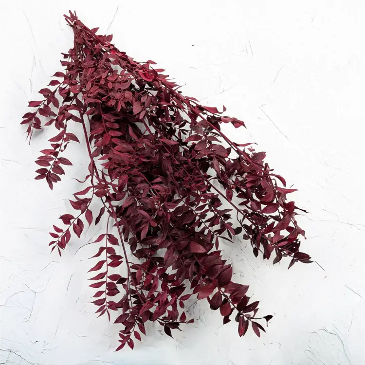 Ruskus Stab czerwony It 1.png