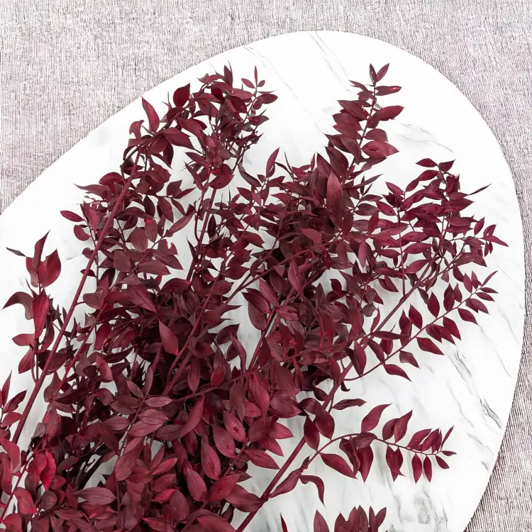 Ruskus Stab czerwony It 2.png