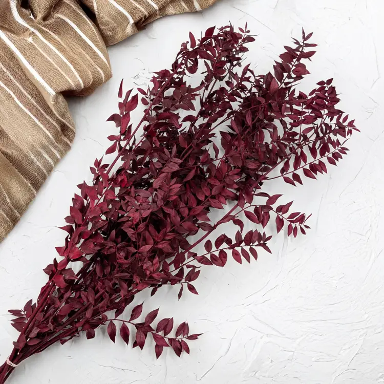 Ruskus Stab czerwony It 3.png