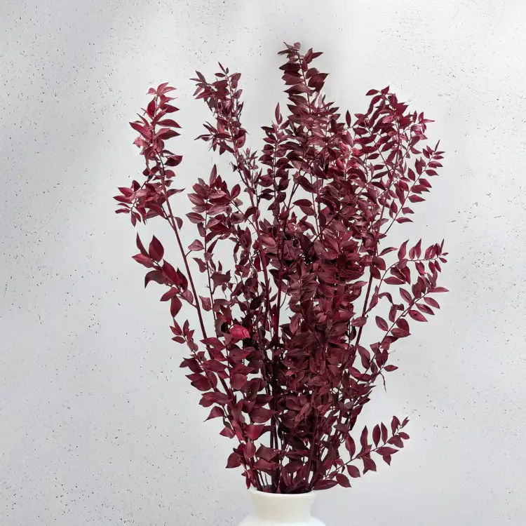 Ruskus Stab czerwony It 4.png