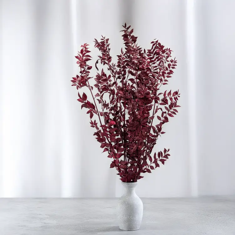 Ruskus Stab czerwony It 5.png