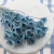 Nigella orient Sky Blue 2.png