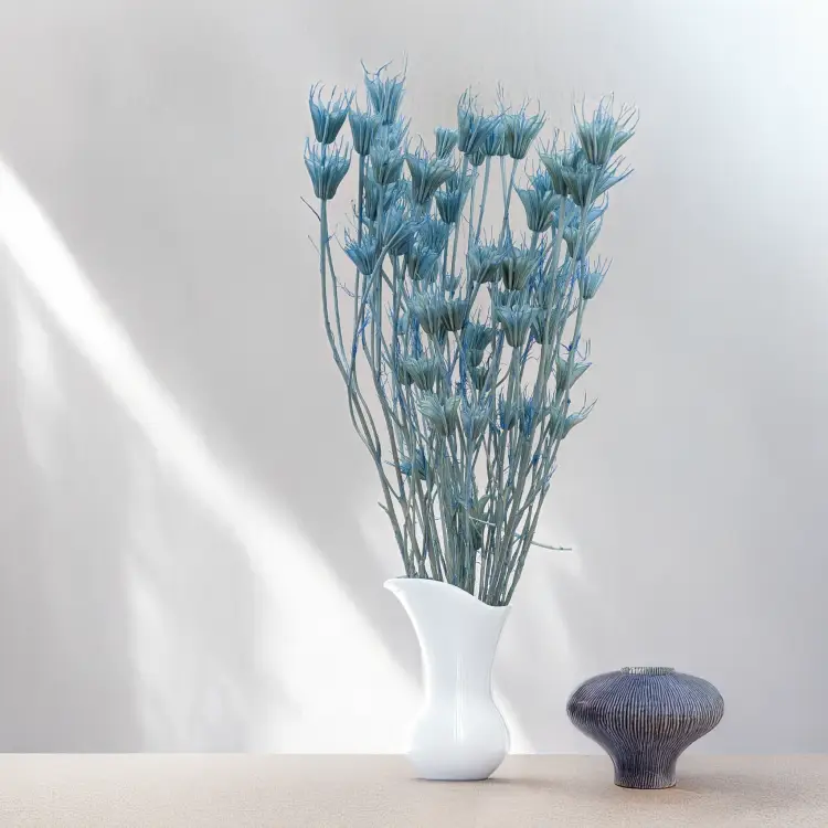 Nigella orient Sky Blue 5.png