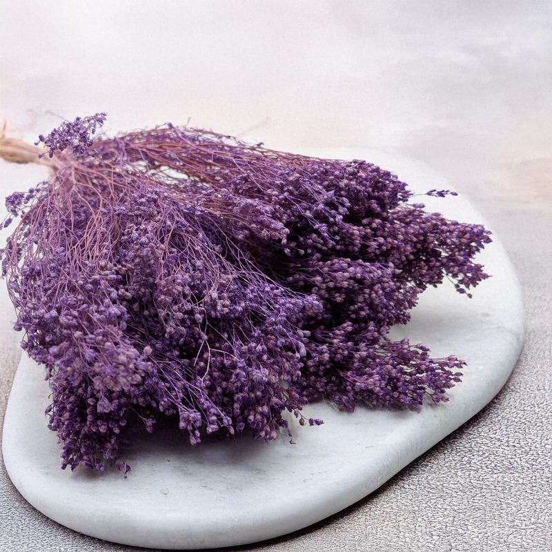 Broom Bloom lawendowy 2.png