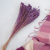 Broom Bloom lawendowy 4.png