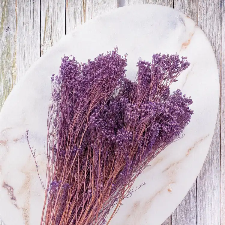 Broom Bloom lawendowy 5.png