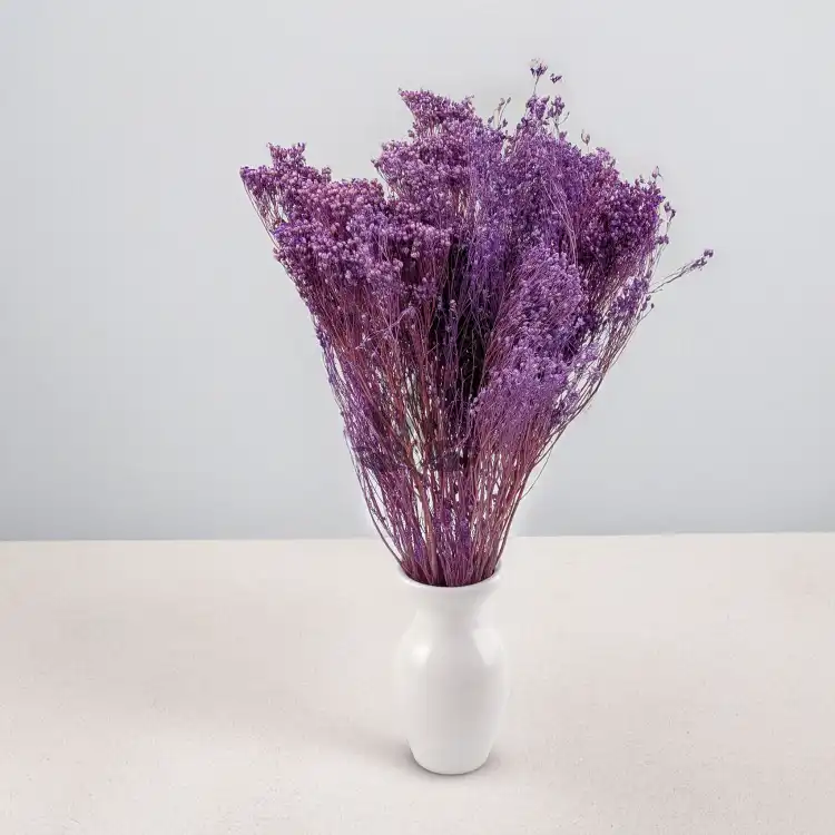 Broom Bloom lawendowy 6.png