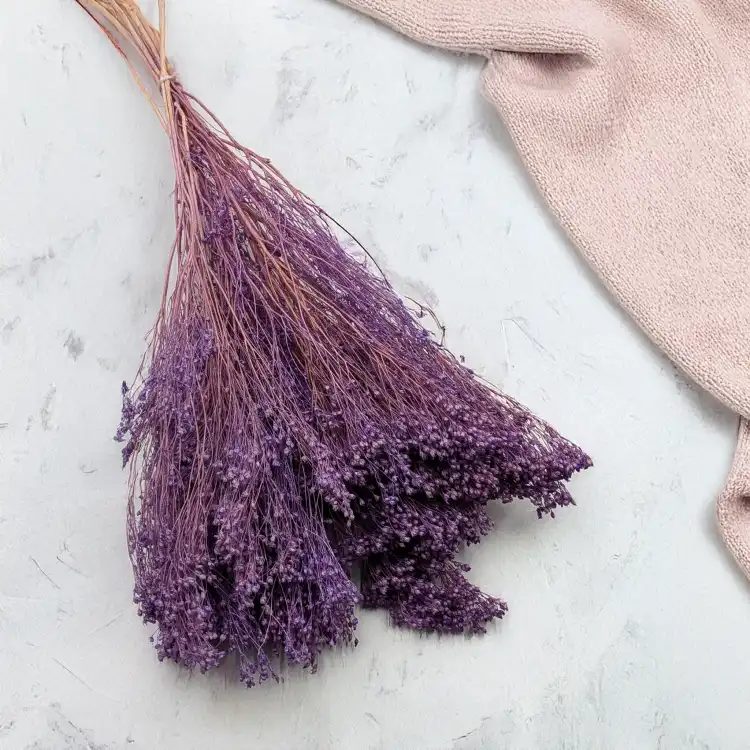 Broom Bloom lawendowy 1.png
