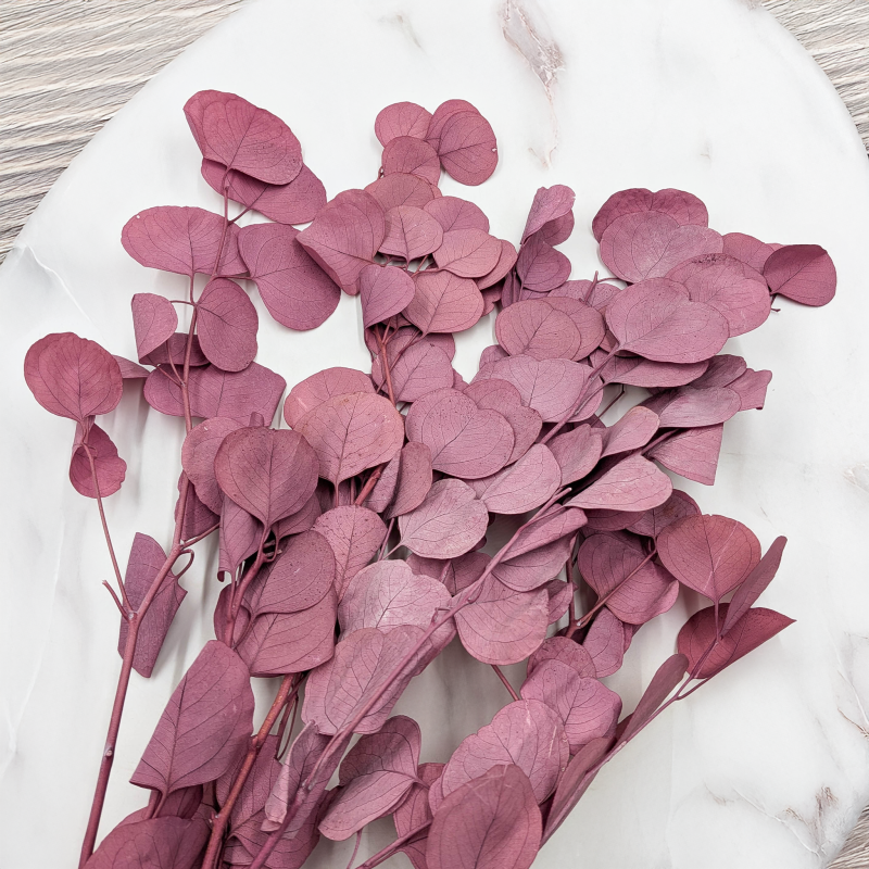 POPULUS ROYAL DUSTY PINK 2.png