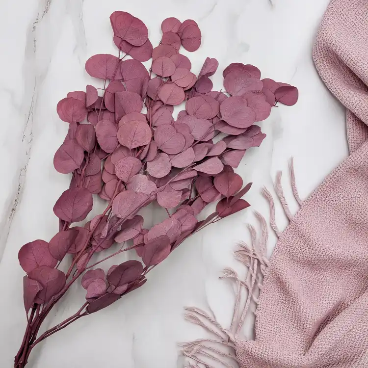 POPULUS ROYAL DUSTY PINK 3.png