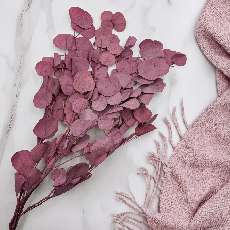 POPULUS ROYAL DUSTY PINK 3.png