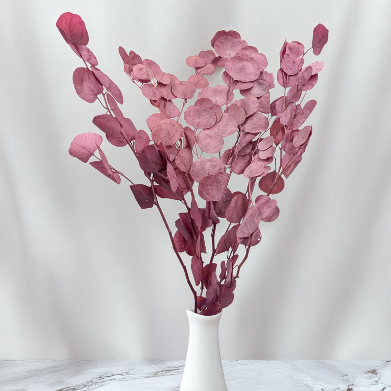 POPULUS ROYAL DUSTY PINK 5.png