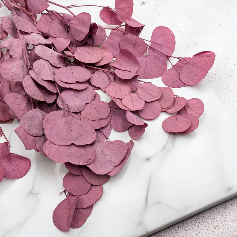 POPULUS ROYAL DUSTY PINK 1.png