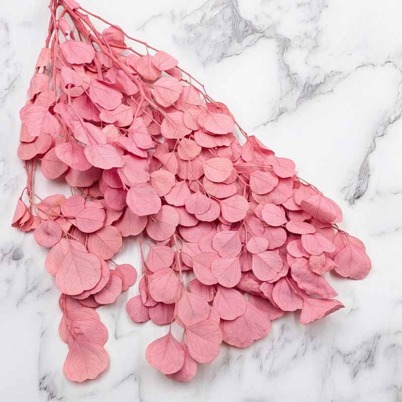 POPULUS ROYAL PINK 2.png