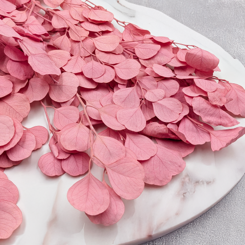 POPULUS ROYAL PINK 3.png