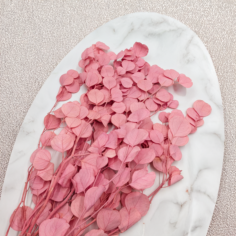 POPULUS ROYAL PINK 4.png