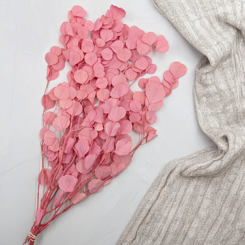 POPULUS ROYAL PINK 5.png