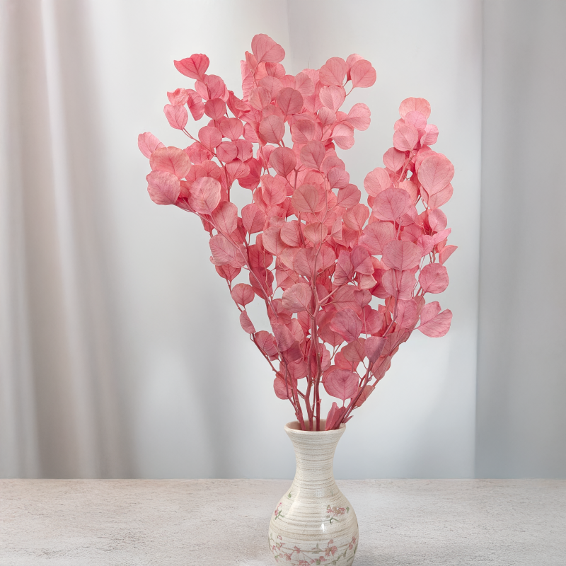 POPULUS ROYAL PINK 6.png