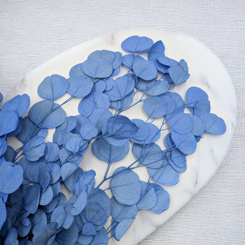 POPULUS ROYAL BLUE 3.png