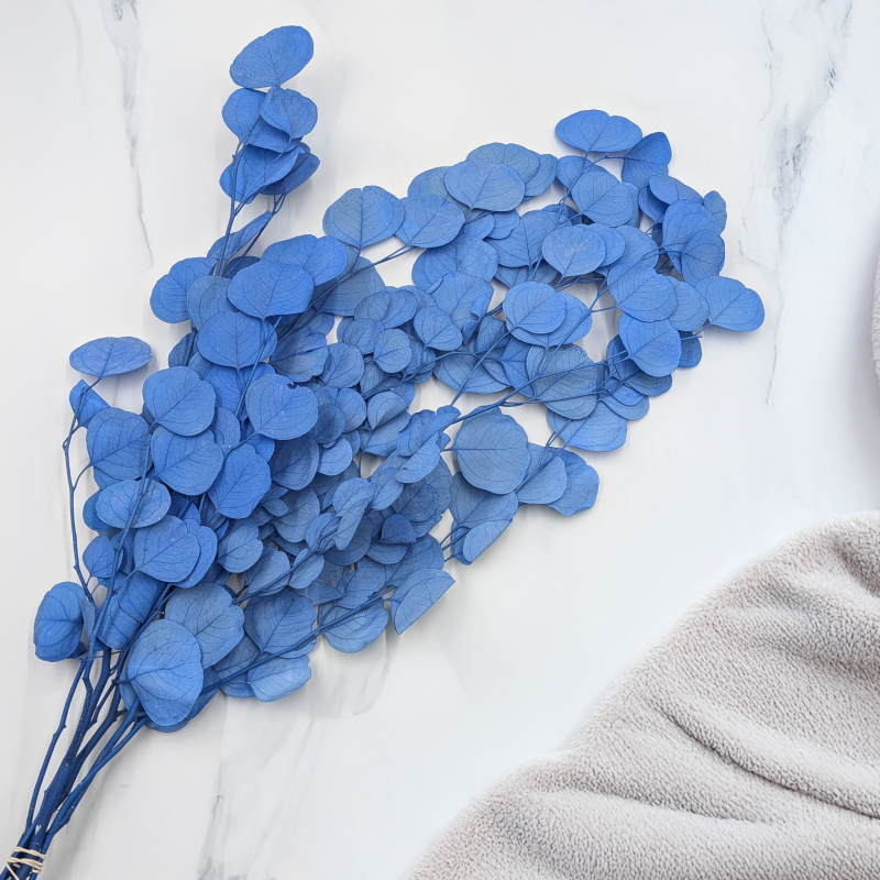 POPULUS ROYAL BLUE 4.png