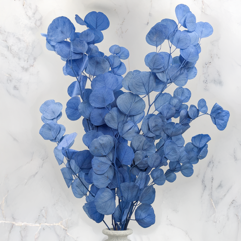 POPULUS ROYAL BLUE 5.png