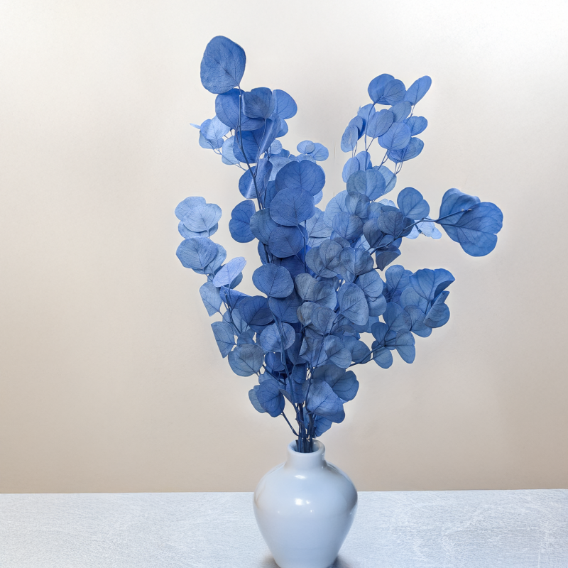 POPULUS ROYAL BLUE 6.png