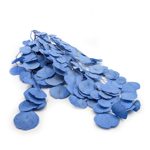 POPULUS ROYAL BLUE 0.png