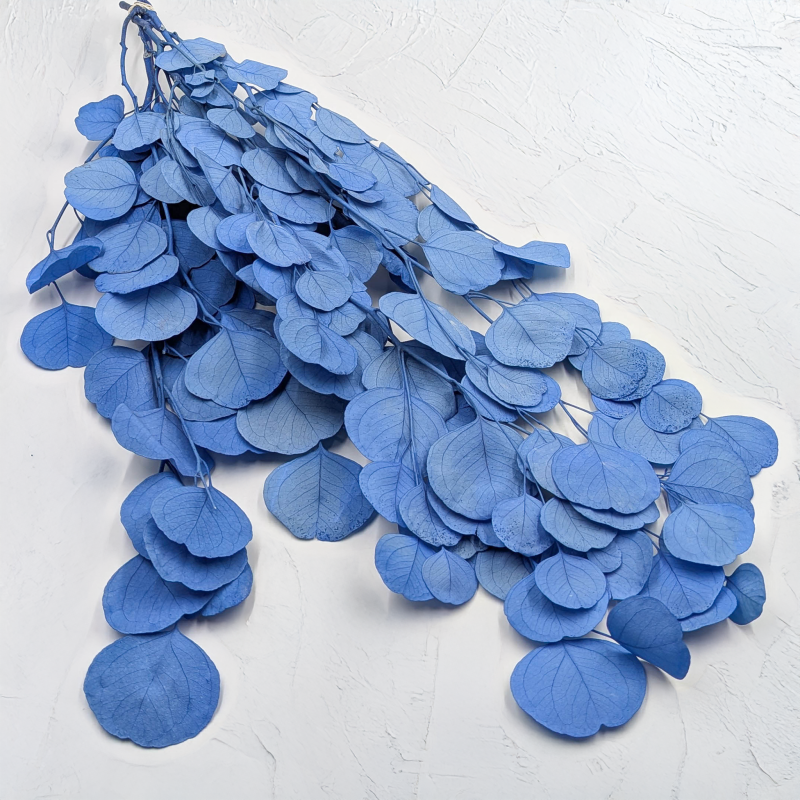 POPULUS ROYAL BLUE 1.png